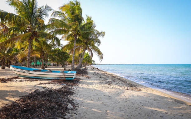 istock A boat sits ashore in a tropical beach town 1437205029