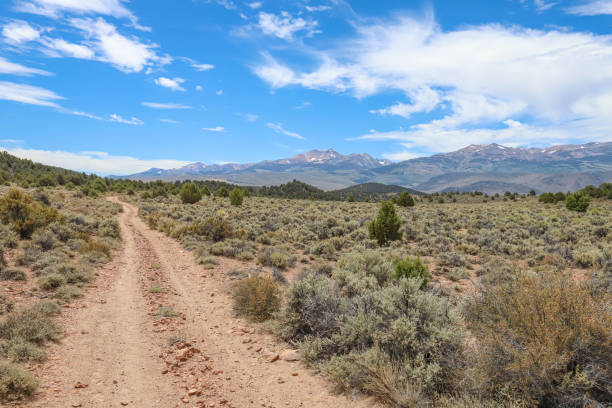 istock Dirt road in the Sierra Nevada 1437206476