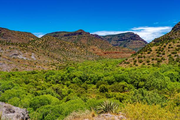 vista della natura selvaggia di west clear creek - clear sky panoramic grass scenics foto e immagini stock