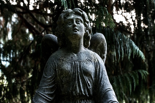 A closeup shot of an angel statue in the park