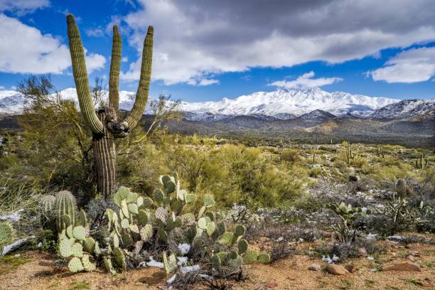 istock The desert and the snow covered mountains 1437207526