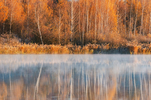 istock Fog above the lake at cold morning. 1437207719