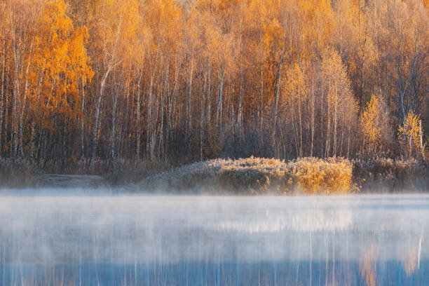 istock Fog above the lake at cold morning. 1437207929
