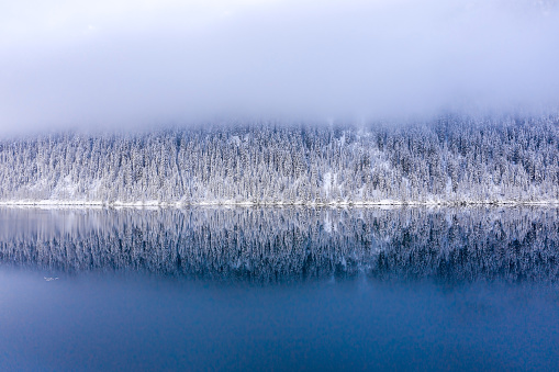 A winter landscape with a lake surrounded by snow-covered trees in the early morning