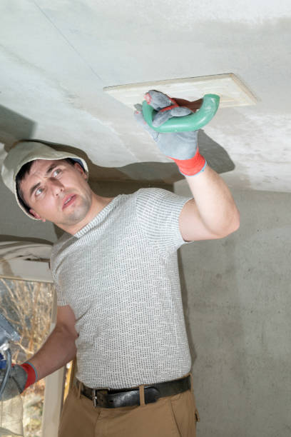 istock The master rubs the ceiling with a moisture-absorbing grater for lime plaster. 1437209064