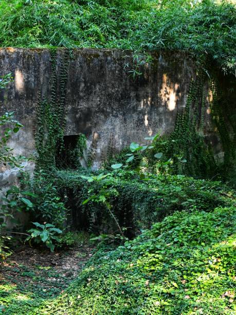 istock Isolated place found in indian forest. 1437214420