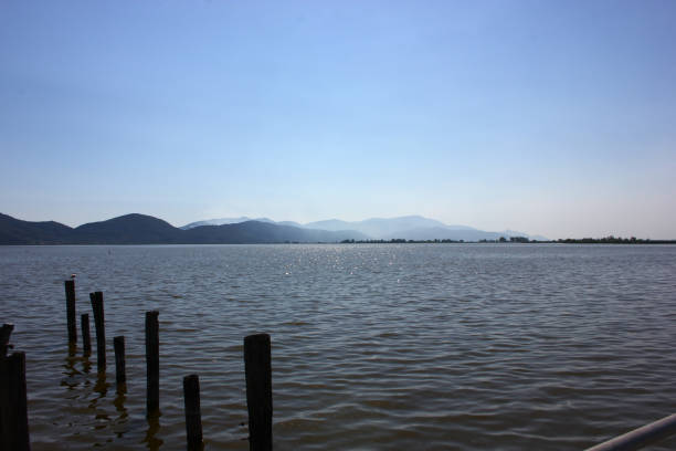 istock Fire at the idyllic Massaciuccoli Lake 1437219565