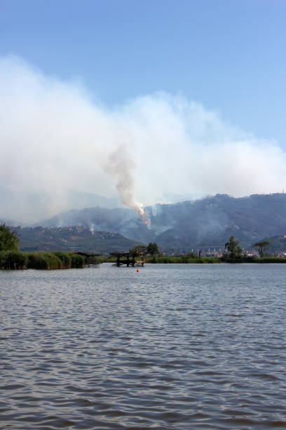 istock Fire at the idyllic Massaciuccoli Lake 1437219577