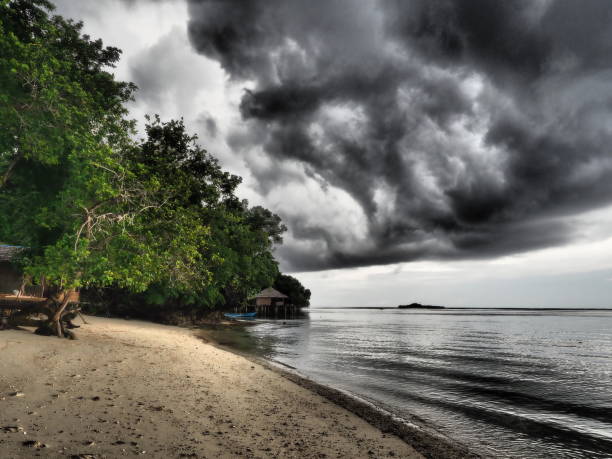 Blue hour at Pulau Sipadan at the beach with clouds in the background and some scrubs on the side