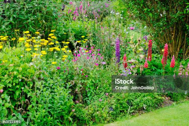 Herbaceous Border Stock Photo - Download Image Now - Landscaped, Beauty In Nature, Blossom
