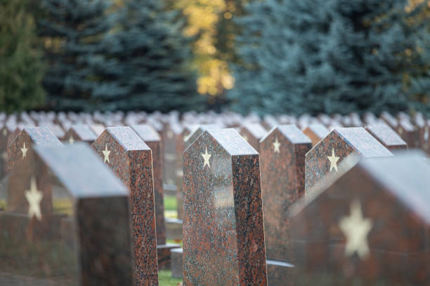 istock empty stone tombstone in a military cemetery. 1437224920