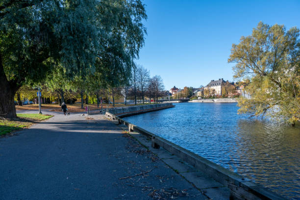 istock Autumn in Sweden 1437225506