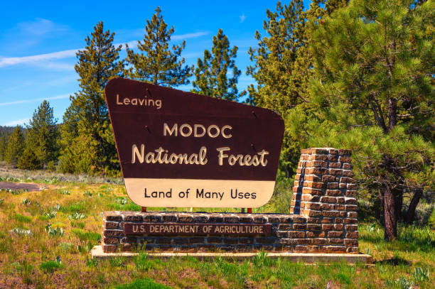 Modoc National Forest street sign located in Northeastern California. Modoc National Forest street sign located in Northeastern California. It protects parts of Modoc, Lassen and Siskiyou counties. modoc plateau stock pictures, royalty-free photos & images