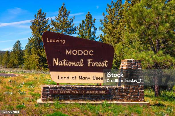 Modoc National Forest Street Sign Located In Northeastern California Stock Photo - Download Image Now