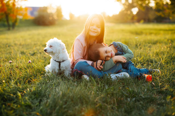 istock Brothers and sisters play with a young White Malteser dog 1437227537