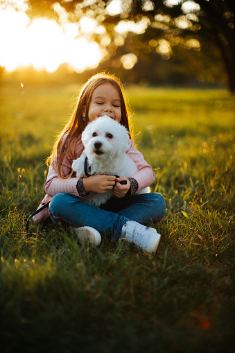 Young girl plays play with a young White Malteser dog on green grass