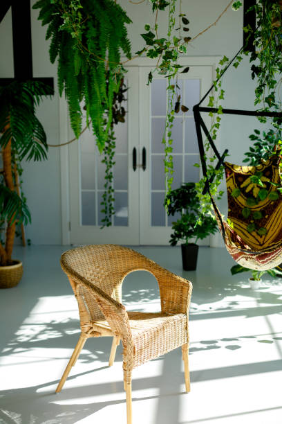 chair stands in room decorated with plants