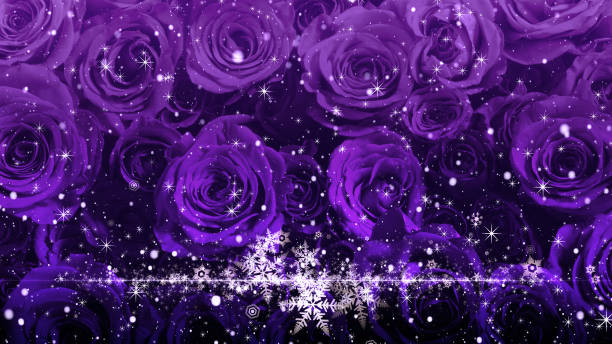 cristal de neige et paillettes flottant sur fond rose - gift purple turquoise box photos et images de collection