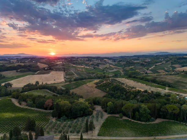 istock Tuscan vineyard countryside in Chianti from drone at sunset 1437234482
