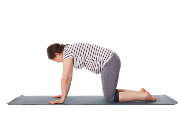 Pregnant woman doing yoga asana Marjaryasana cat pose Pregnancy yoga exercise - pregnant woman doing asana Marjaryasana cat pose isolated on white background cat pose yoga stock pictures, royalty-free photos & images