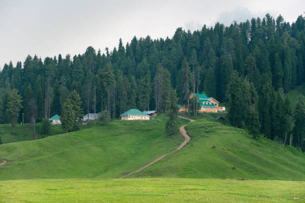 istock Landscape with mountains and clouds in Gulmarg, 1437236361