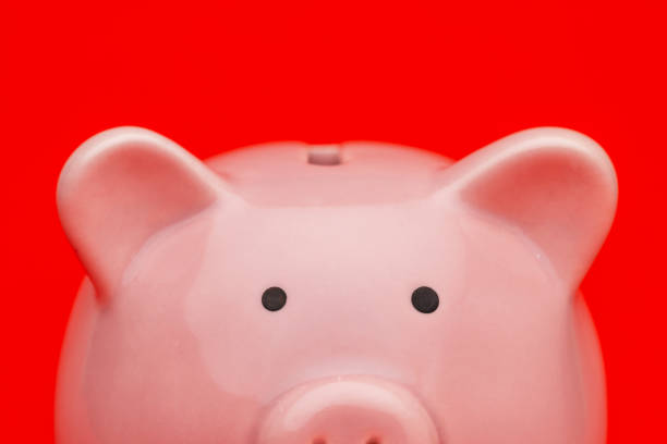 Piggy bank on red background