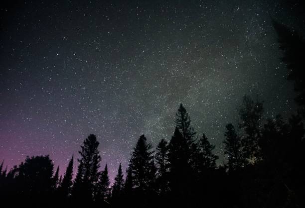 istock Silhouettes of trees against bright starry sky background 1437236768