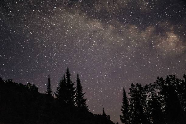 istock Silhouettes of trees against bright starry sky background 1437236784