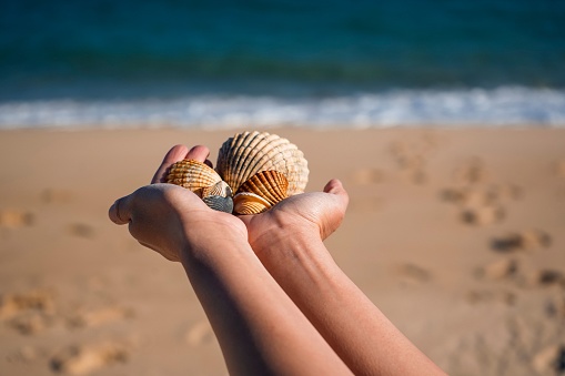 A young brunette woman holding seashells in her hands at the beach.