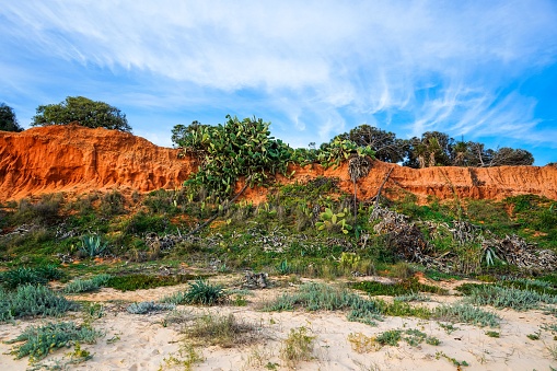 Orange sandstone cliffs at Poco Velho with huge green cactus plant and blue sky with clouds in the back
