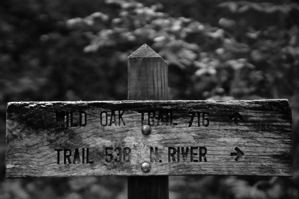 istock Grayscale close-up of an old wooden direction board 1437237695
