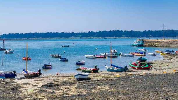 Larmor-Baden beach in Brittany, typical boats, and the colorful ship to Gavrinis island