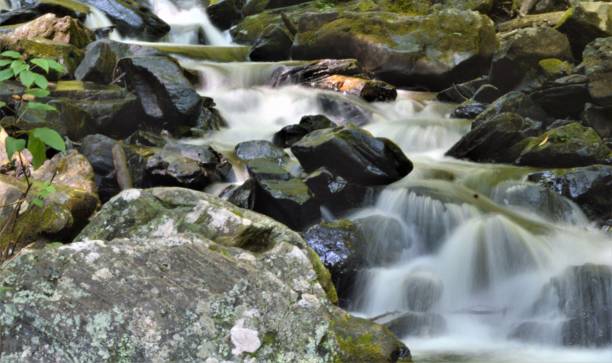 istock Closeup shot of fresh mountain stream 1437238366
