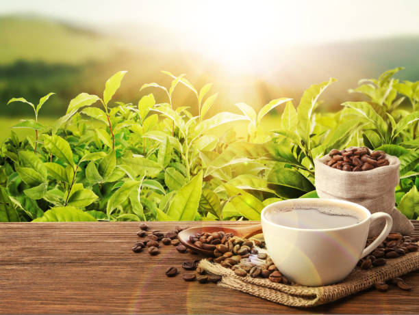 istock Cup of aromatic hot coffee and beans on wooden table outdoors. Space for text 1437238619