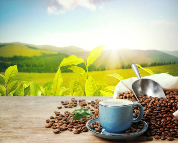 istock Cup of aromatic hot coffee and beans on wooden table outdoors. Space for text 1437238626
