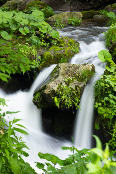 istock Pristine waterfall flowing in a forest in North Japan 1437239557