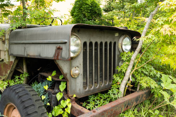 istock The forest engulfing an old military 4WD vehicle 1437239636