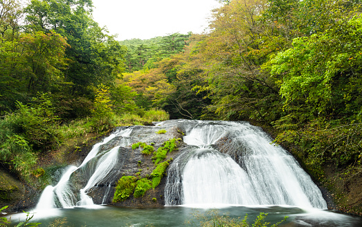 A waterfall in a lush green forest in North Japan.