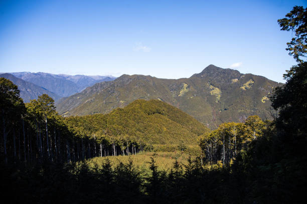 A few from the famous hiking pilgrimage Kumano Kodo trail in South Mie Prefecture.