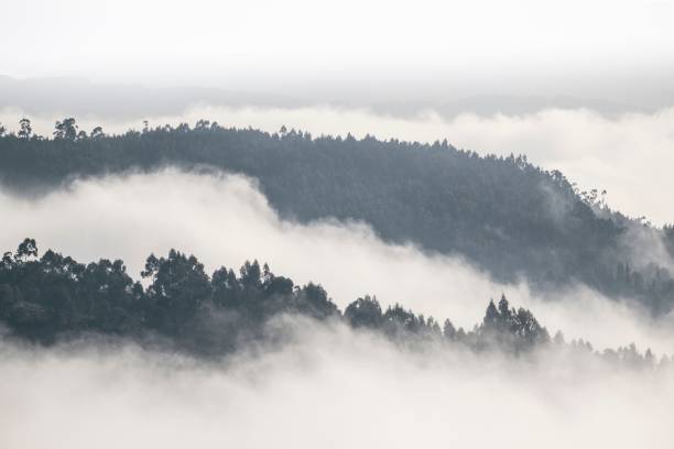 istock Landscape of forested hills behind mist under gray cloudy sky 1437241665
