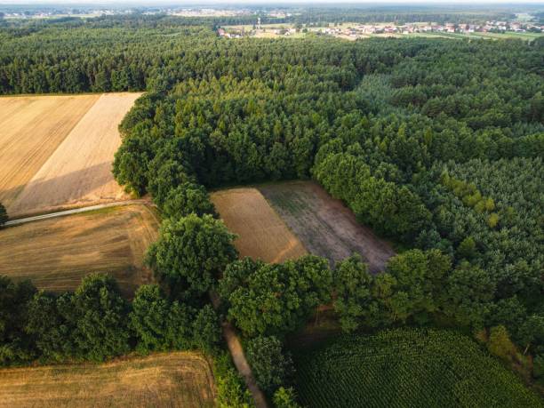 istock Aerial view of green trees fields and ploughed fields 1437241913
