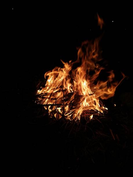 istock Vertical shot of burning wood on a campfire at night 1437242724