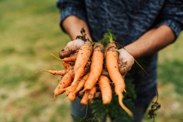 istock Dirty hands, clean soul 1437243080