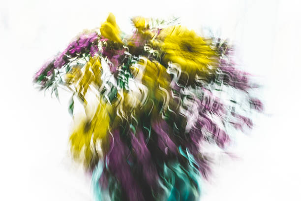 abstract photography colorful an natural