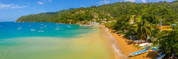 istock Panoramic shot of the paradise sandy beach with huge ocean waves 1437247880