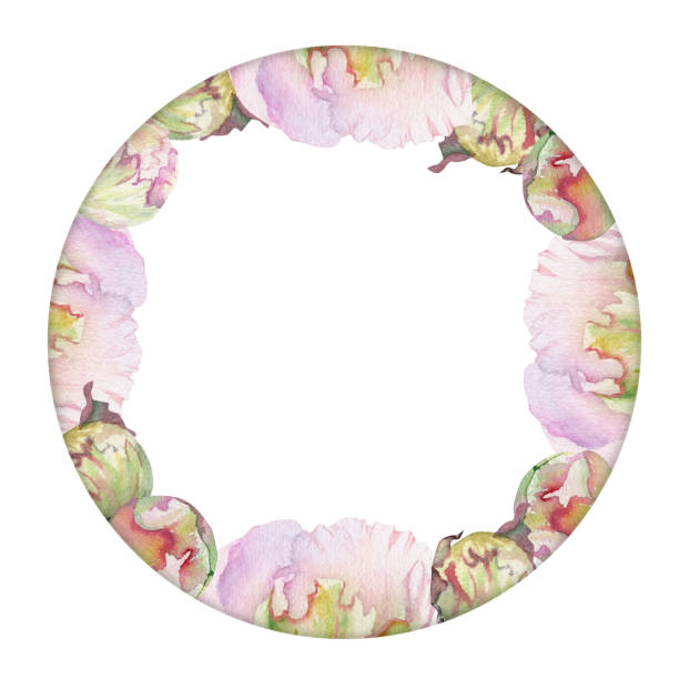 istock Watercolor circle frame arrangement with hand drawn delicate pink peony flowers, buds and leaves. Isolated on white background. For invitations, wedding, love or greeting cards, paper, print, textile 1437249548