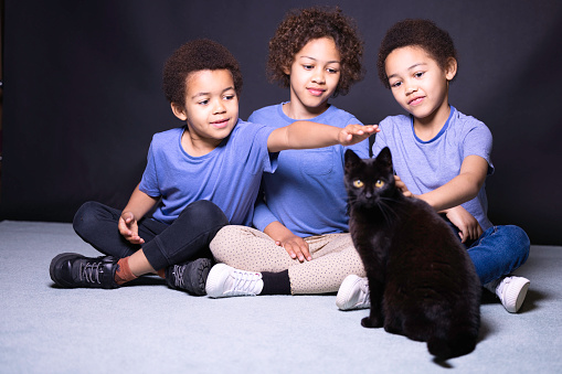Mixed race primary age children, 2 sisters and their younger brother, with their black cat.