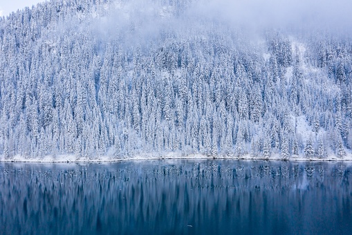 A beautiful scenery of a lake surrounded by snow-covered trees in the Swiss Alps, Switzerland