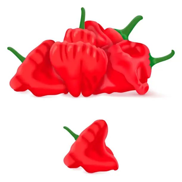 Vector illustration of Group of Red scotch bonnet peppers. Capsicum chinense. Hot chili pepper. Fresh organic vegetables. Vector illustration isolated on white background.