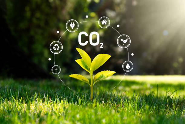 emisiones de dióxido de carbono, concepto de huella de carbono - carbon dioxide environment leaf climate fotografías e imágenes de stock